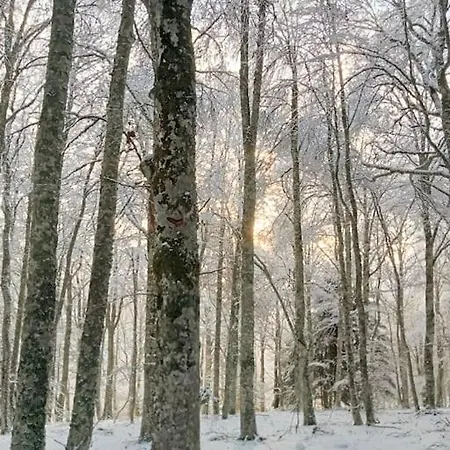 Le Des Forets Enchantees アパート