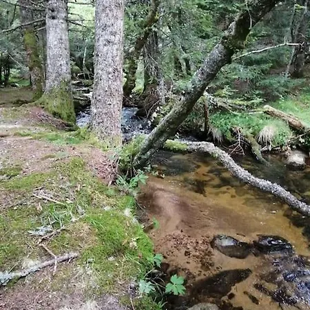 Le Des Forets Enchantees *