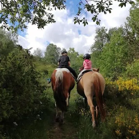 Le Des Forets Enchantees