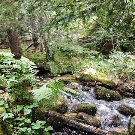 Le Des Forets Enchantees *