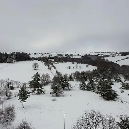 Le Des Forets Enchantees