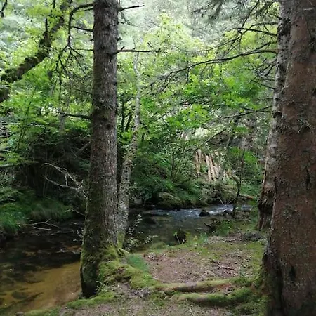 アパート Le Des Forets Enchantees