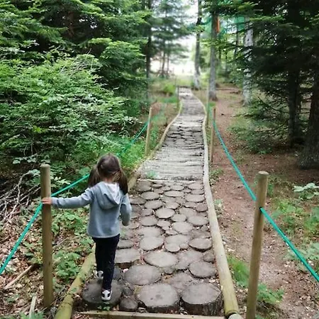 Le Des Forets Enchantees *