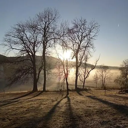 アパート Le Des Forets Enchantees Saint-Anthème