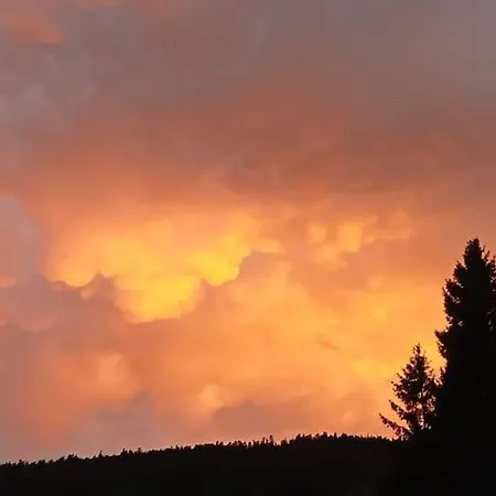 Le Des Forets Enchantees