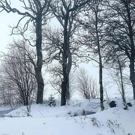 Le Des Forets Enchantees アパート *