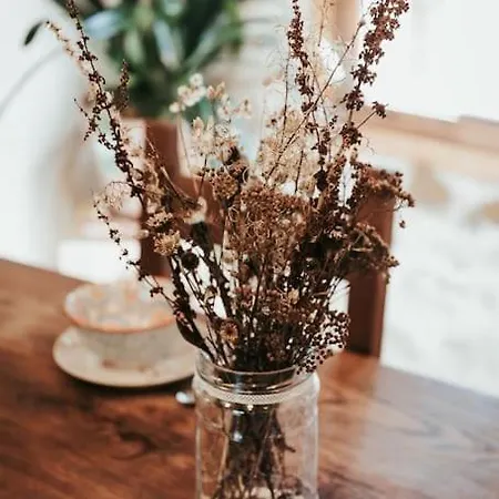 Le Des Forets Enchantees アパート Saint-Anthème