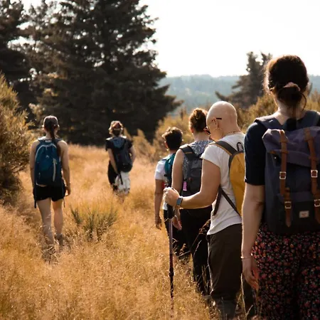 Le Des Forets Enchantees *